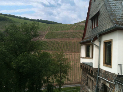 Nahe winery