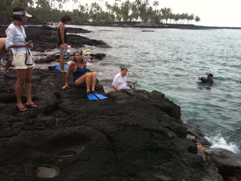 South Kona snorkling