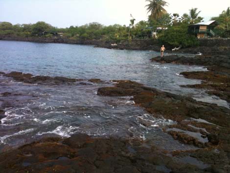 South Kona snorkling