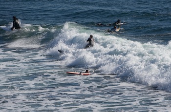 Surfing at Capitola Beach