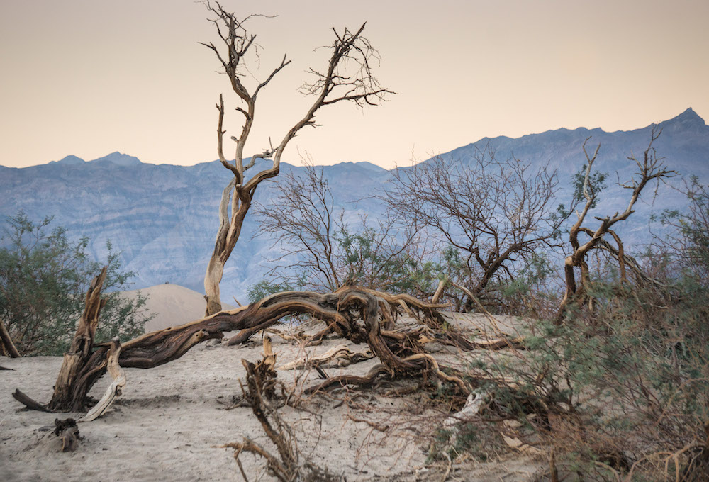 Death Valley Sand Dunes