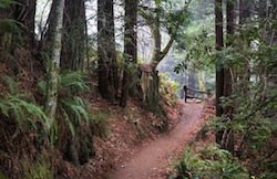 Craig Britton Trail