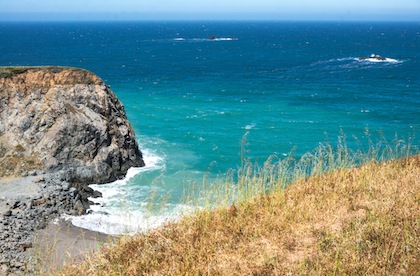 Sonoma Coast